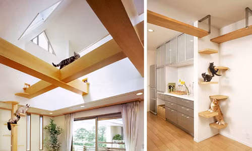 5 sai lam phong thuy khien ban lam mai khong giau