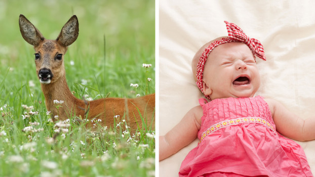 11 su that thu vi ve the gioi khien ban ngac nhien-Hinh-2