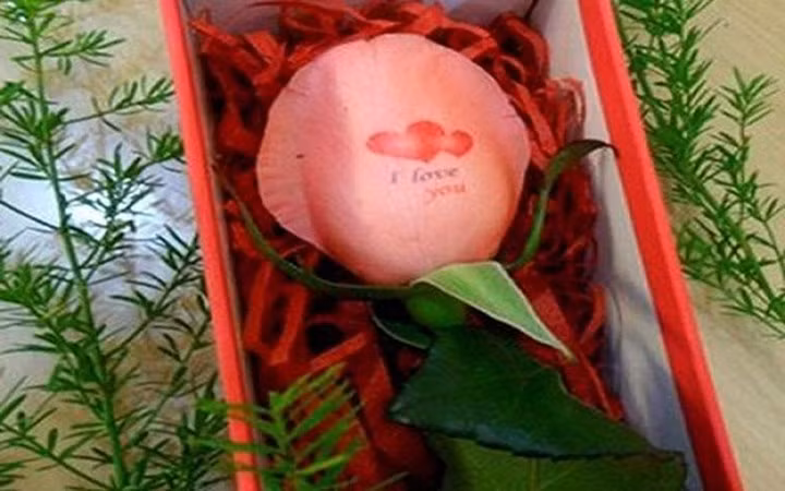 Hoa hồng "biết nói". Giá một cành hoa được in chữ và hình tương đối vừa phải, dao động từ 30.000 đến 60.000 đồng. Đây sẽ là món quà lãng mạn phù hợp với túi tiền của sinh viên, học sinh.