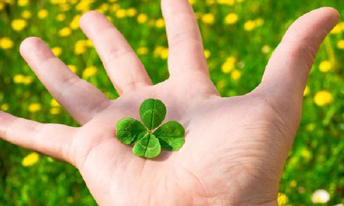 Gap duoc nhung dau hieu nay la Than Tai dang go cua nha ban