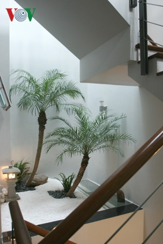 Một tiểu cảnh bên cạnh thang, dưới giếng trời. Đây là mái phòng vệ sinh tầng trệt và là khoảng sàn “chết”.