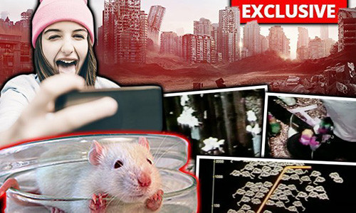 Thi nghiem tren chuot du bao su tuyet diet cua nhan loai