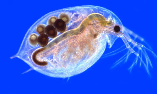 Bat ngo ly do con nguoi ham thich quan he tinh duc