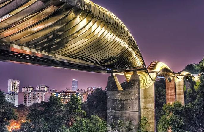 HENDERSON WAVES BRIDGE Được xây dựng vào năm 2008, Cầu Henderson Waves là lối đi dành cho người đi bộ cao nhất của Singapore, nằm trên 100 điểm trên một đại lộ bận rộn và nối liền hai công viên thành phố lớn. Cầu được xây theo hình thức gợn sóng và nhận được sự ủng hộ bởi các gia đình, vận động viên cùng những người yêu thiên nhiên. Vào ban đêm cây cầu thậm chí còn ấn tượng hơn khi được chiếu sáng bằng ánh sáng LED.