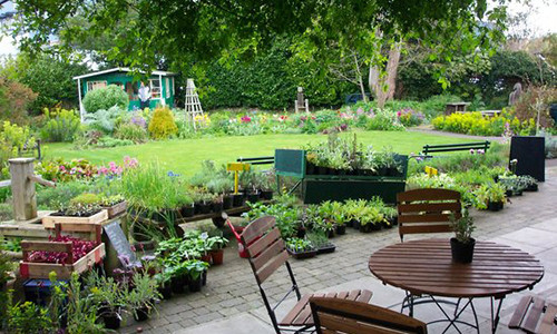 Cu dien thoai bat ngo tu anh ho tiet lo bi mat cua chong