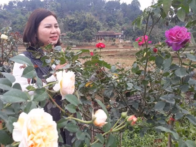 Me man vuon hoa hong dep nhu tranh tri gia tien ty-Hinh-2