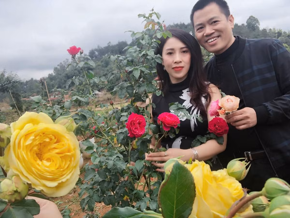 Me man vuon hoa hong dep nhu tranh tri gia tien ty-Hinh-3