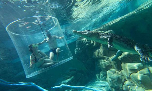 Beltrami muốn gây bất ngờ với bạn gái.