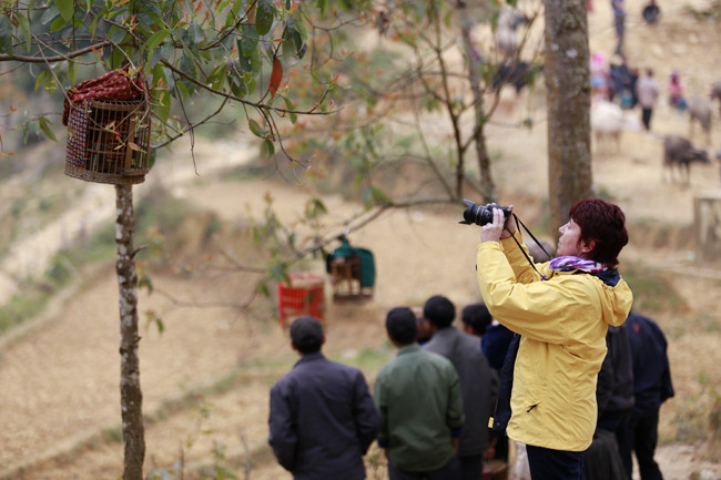 Nhiều du khách nước ngoài có mặt tại Cán Cấu tò mò về phiên chợ trâu và chim cảnh đặc sắc nhất Tây Bắc.
