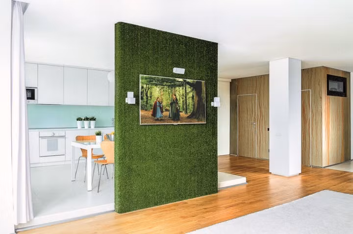 Vách ngăn bằng cỏ nhân tạo đồng thời cũng là kệ tivi độc đáo.