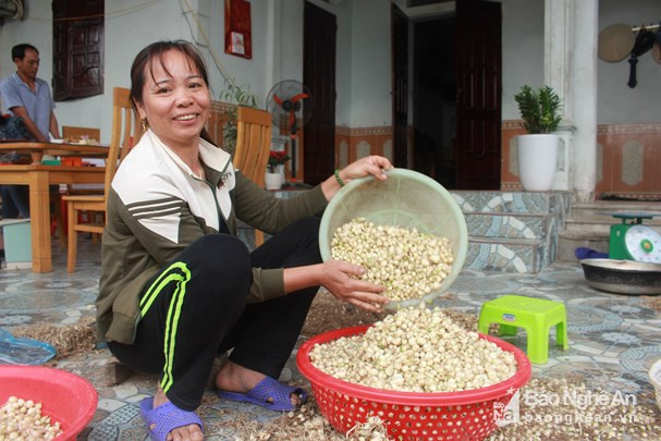 Hành tăm hiện có giá từ 20.000 -23.000 đồng/kg. Ảnh: Nhật Tuấn