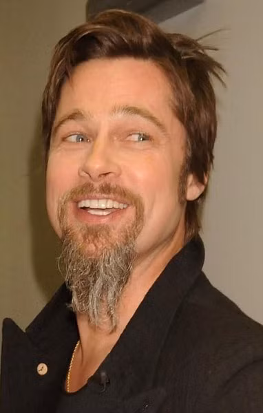 Brad Pitt sở hữu bộ râu rất riêng.