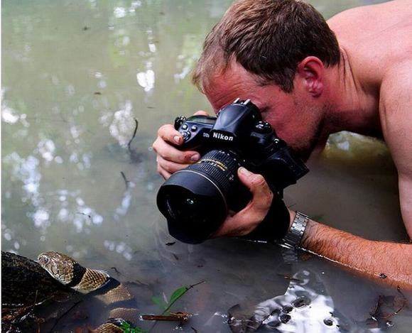 Một nhiếp ảnh gia liều lĩnh chụp con rắn hổ mang nâu độc.
