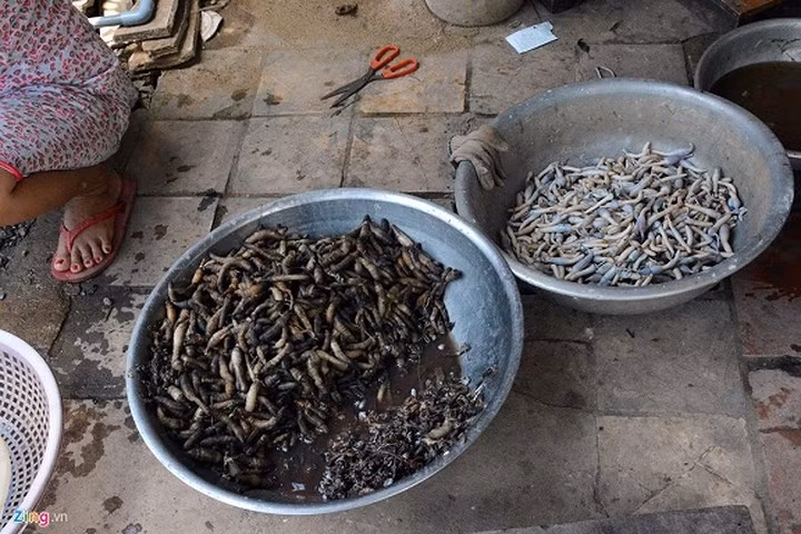 Mỗi chuyến đi đào sâm đất, lúc nhiều thì được chục ký, lúc ít thì được vài ký mang về bán cho một số vựa thu mua. Thời điểm đào sâm đất tốt nhất là khi nước ròng. (Ảnh: Zing)