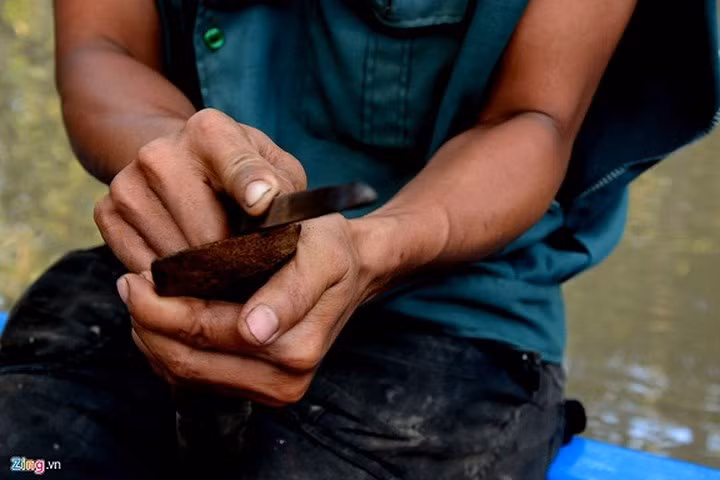 Dụng cụ lao động của người đi săn sâm đất khá đơn giản: Một cây cuốc nhỏ hay xẻng cùng can nhựa để đựng sản phẩm bắt được. Cuốc và xẻng luôn được mài sắc để có thể đào sâu xuống nền đất nhiều rễ cây của rừng ngập măn.(Ảnh: Zing)