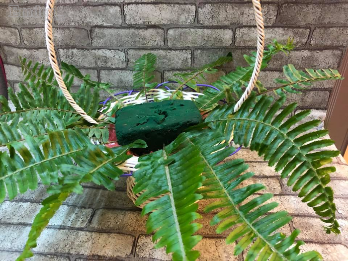 Bước 3: Bạn cho xốp vào lẵng hoa sau đó cắm lá dương sỉ xung quanh