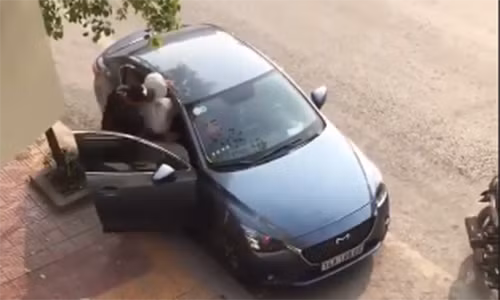 Ảnh cắt từ clip