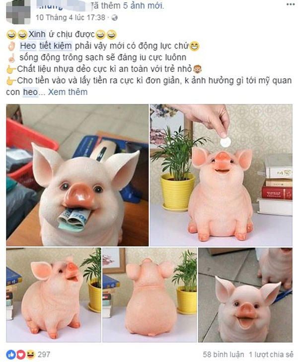 Loại lợn tiết kiện đang gây sốt trên thị trường.