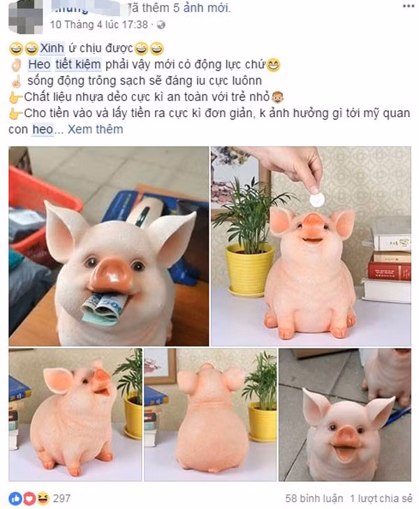 Loại lợn tiết kiện đang gây sốt trên thị trường.