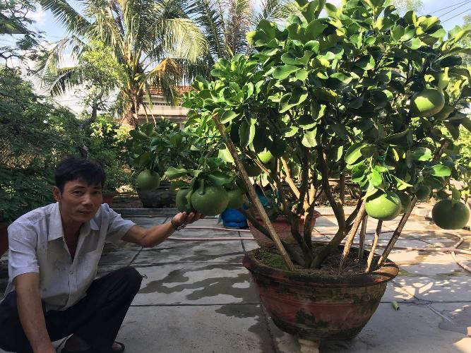 Làng Hà Dừa (thôn Trường Thạnh, Diên Thạnh, Diên Khánh, Khánh Hòa) xưa nay nổi tiếng với nghề trồng hoa và các loại cây cảnh như: Hoa cúc, hồng, mồng gà, quất… Đặc biệt, cây bưởi cảnh nhiều năm qua đã mang lại giá trị kinh tế cao và nhà vườn ví von cây này chỉ xuất ngoại, phù hợp với các đại gia.