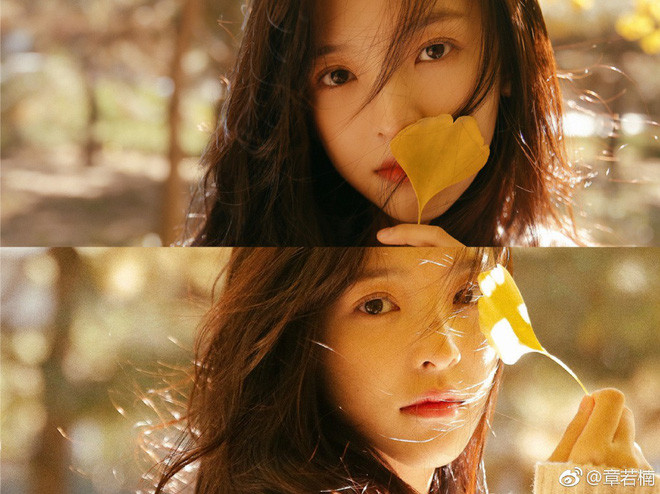 Cụ thể, Vương Tư Thông bấm nút theo dõi (Follow) trang cá nhân của nữ diễn viên Chương Nhược Nam. Ngay lập tức, fan của thiếu gia ăn chơi số 1 Trung Quốc đã chụp được màn hình động thái trên và bàn tán rôm rả.