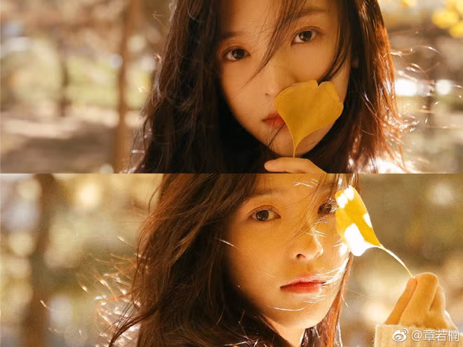 Cụ thể, Vương Tư Thông bấm nút theo dõi (Follow) trang cá nhân của nữ diễn viên Chương Nhược Nam. Ngay lập tức, fan của thiếu gia ăn chơi số 1 Trung Quốc đã chụp được màn hình động thái trên và bàn tán rôm rả.