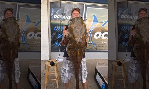 Ngư dân Jeffrey Dill chụp ảnh cùng con cá khổng lồ.