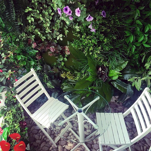 Vì căn hộ có 2 ban công nên Phan Anh tận dụng ban công lớn để trồng rất nhiều hoa và cây xanh.