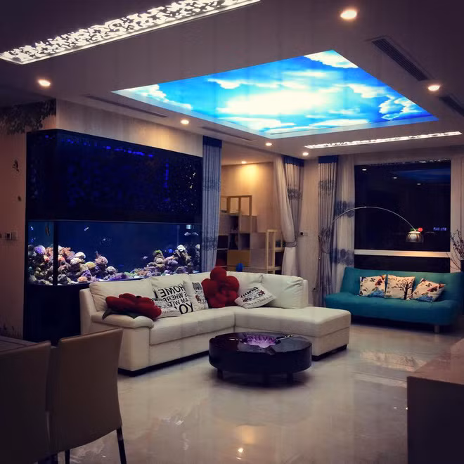 Đặc biệt ấn tượng là bức tranh 3D vẽ bầu trời ở trần nhà phòng khách. Chia sẻ về điều này, Phan Anh cho biết: "Khi nào cũng thấy trời xanh, mây trắng..Khi nào cũng thấy nơi ấy an lành."