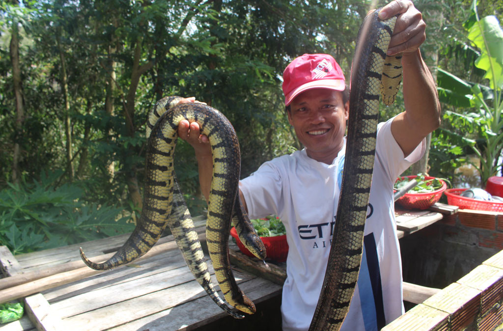 Ca, tom o at do ve mua nuoc lu giup dan mien Tay thu nhap 