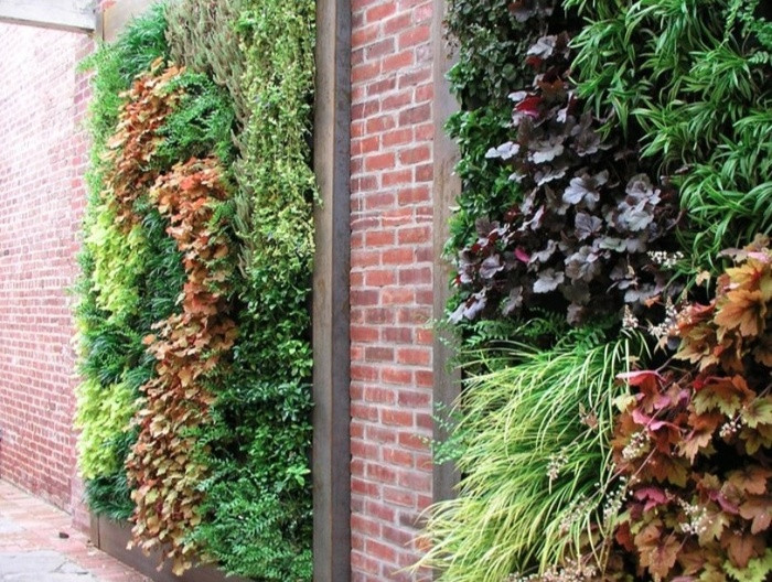 2. Khu vườn thẳng đứng Những bức tường sống hay những khu vườn thẳng đứng là cách tuyệt vời để bạn thắp lên sự sống từ bức tường vô tri vô giác. Bạn có thể trồng xương rồng, dương xỉ hoặc các loại cây dễ trồng trên bức tường.