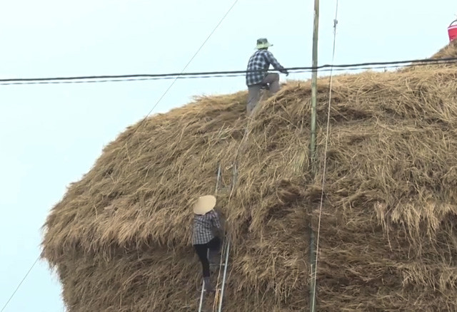 Theo lời các hộ buôn rơm nơi đây thì nghề này đã ra đời được gần 20 năm và khởi đầu ở thôn Kim Giao, xã Phổ Thuận, huyện Đức Phổ. Để có rơm bán, cứ vào vụ thu hoạch lúa hàng năm các chủ vựa rơm các xã trên cho người vào các cánh đồng trong tỉnh mua về chất thành cây để trữ, bán cho số thương lái thu mua dưa sử dụng làm đệm lót trong quá trình vận chuyển. Tuy không nói chính xác, nhưng theo các chủ buôn rơm thì lợi nhuận của nghề này khá cao. Ít thì 20-40 triệu đồng/năm, nhiều lên đến cả 100 triệu đồng/năm.