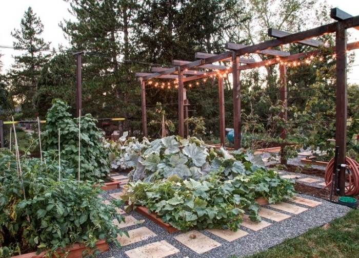 5. “Đóng giường” trồng rau Với những chiếc giường có kích cỡ phù hợp, bạn có thể trồng rau ở diện tích theo ý muốn. Trên những chiếc giường này, bạn có thể trồng bất cứ loại rau yêu thích nào từ cà chua, rau diếp, rau cải…Ngoài ra, trong khu vườn bạn cũng có thể chăn thả những chú gà để thu hoạch thêm trứng sạch.