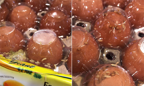 Giòi từ trong những khay trứng tại siêu thị Giant, Singapore.