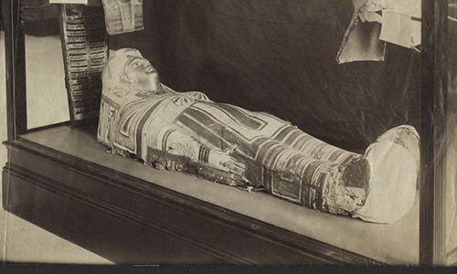 Loi nhan tu xac uop Ai Cap co dai cach day hon 2000 nam duoc giai ma