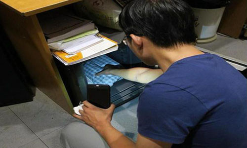 Toàn bộ hành vi của Tùng bị camera ghi lại.