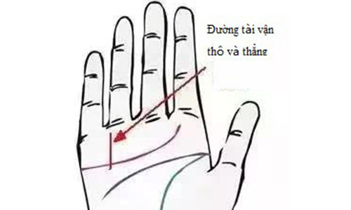 Sở hữu đường chỉ tay này, đảm bảo hậu vận giàu sang So huu duong chi tay nay, dam bao hau van giau sang