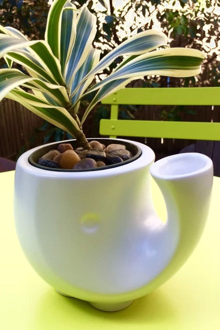 Chiếc bình có kiểu dáng lạ này có thể tự tưới nước và cân bằng lượng nước trong bình.