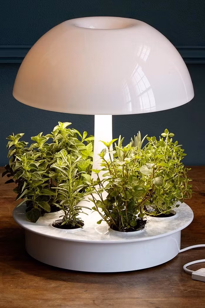 Chiếc bình siêu thông minh này có khả năng tự cân bằng nguồn ánh sáng cũng như lượng nước trong bình để giúp cây có được môi trường sống lý tưởng nhất.