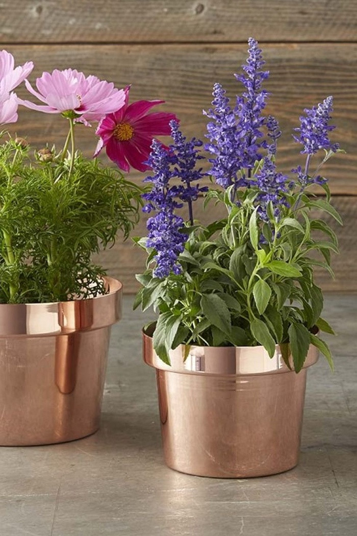 Chiếc bình với chất liệu đồng bóng loáng này sẽ trở thành một điểm nhấn thú vị trong căn phòng của bạn.