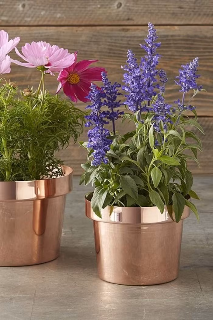 Chiếc bình với chất liệu đồng bóng loáng này sẽ trở thành một điểm nhấn thú vị trong căn phòng của bạn.