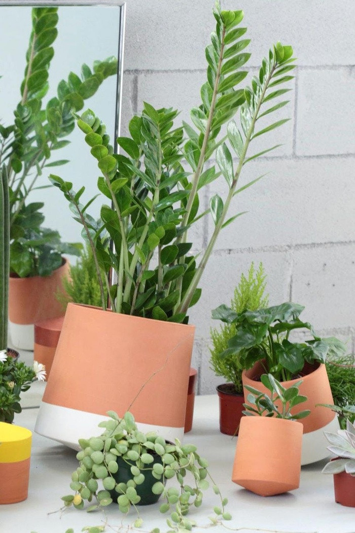 Những chiếc bình có kiểu dáng độc đáo này sẽ quay về phía có ánh nắng mặt trời.