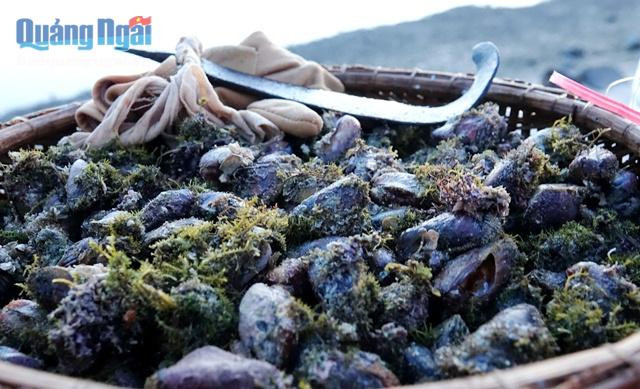 Vẹm sau khi được bắt về, dùng dao nhỏ, mũi nhọn tách vẹm làm 2 nửa, nạy lấy ruột. Ruột vẹm lớn gần bằng đầu ngón tay út, có màu gạch rất tươi. Vẹm có vị ngọt, mằn mặn xen chút vị beo béo đặc trưng và chế biến được nhiều món ngon khác nhau như: xào, nấu cháo…