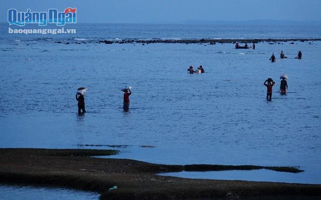 Sau một buổi mưu sinh vất vả trên bãi rạn, các chị í ới rủ nhau về với "chiến lợi phẩm" là những ký vẹm, ốc hay rong biển tươi ngon...