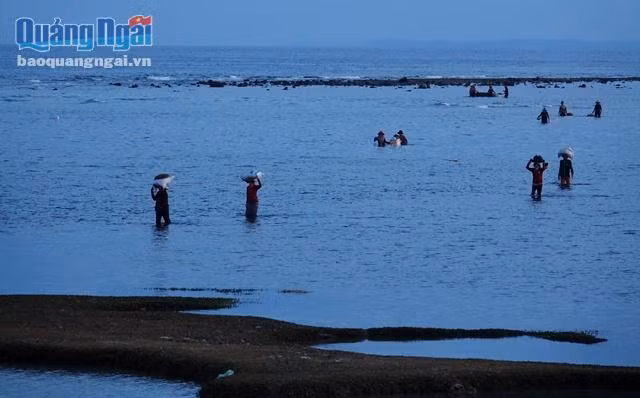 Sau một buổi mưu sinh vất vả trên bãi rạn, các chị í ới rủ nhau về với "chiến lợi phẩm" là những ký vẹm, ốc hay rong biển tươi ngon...