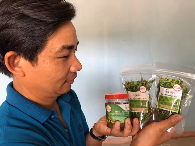 Trao đổi với PV, ông Phạm Đình Nghĩa-Giám đốc HTX NN sạch Sơn Hà, cho biết: “ Ớt xiêm rừng là một trong số nông sản đặc sản ở miền núi mà chúng tôi muốn giới thiệu đến người tiêu dùng trong cả nước. Qua việc quảng bá này, chúng tôi hi vọng mở rộng hơn thị trường tiêu thụ, tạo sự ổn định cho đầu ra để nâng giá trị cao hơn cho các mặt hàng đặc sản ở vùng cao; góp phần tăng thu nhập cho người dân địa phương và vùng lân cận”.