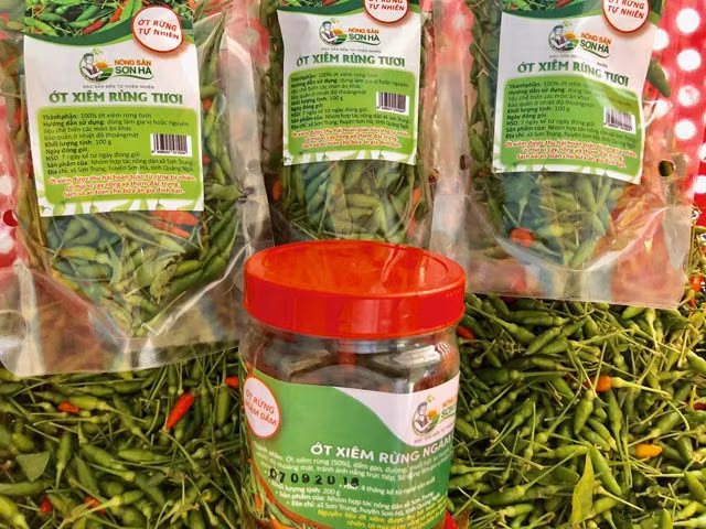 Sau một thời gian dài tiêu thụ trong tỉnh, đặc sản ớt xiêm rừng, còn gọi là ớt “chim ỉa” (do chim ăn trái chín, thải hạt ra và tự mọc) của người dân miền núi Quảng Ngãi đã chính thức được Hợp tác xã nông nghiệp (HTXNN) huyện Sơn Hà ký kết, đưa vào giới thiệu trong hệ thống siêu thị lớn tại TP.Hồ Chí Minh và một số tỉnh thành khác.