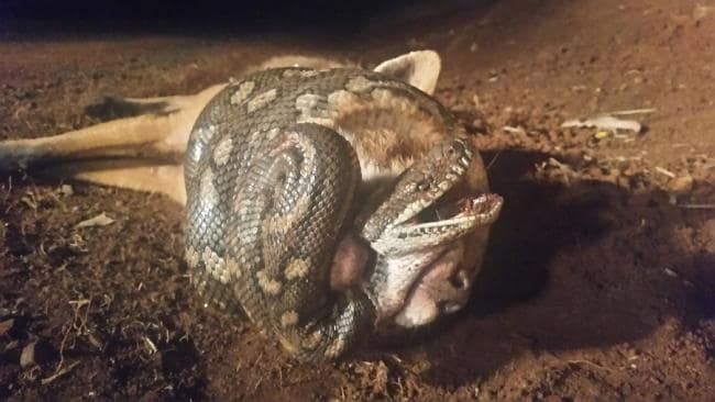 Cao can co tran khong roi, tran siet chat cao khong buong