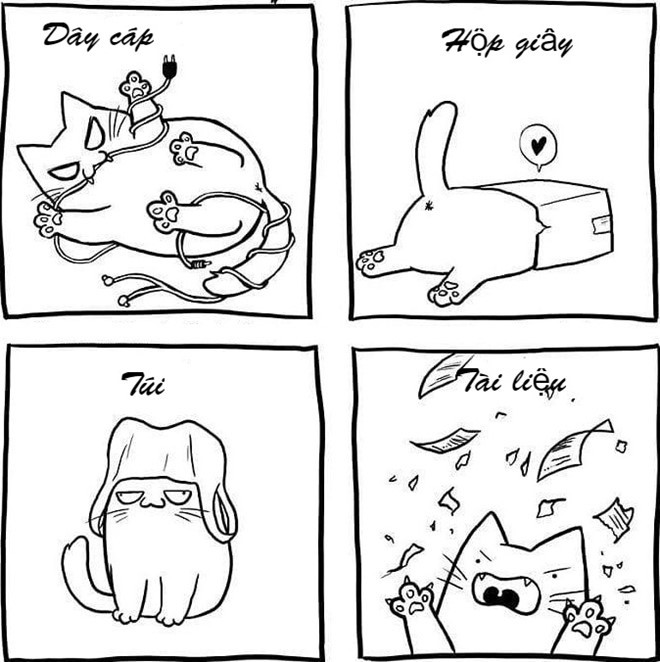 5. Đồ đạc bị phá hoại: Nuôi mèo trong nhà sẽ rèn luyện cho chủ nhân sự bình tĩnh và nhẫn nại. Dù cắn dây cáp, cào nát tài liệu, hay làm bất cứ trò điên rồ nào, chúng cũng chẳng hề mảy may quan tâm sự tức giận của chủ.