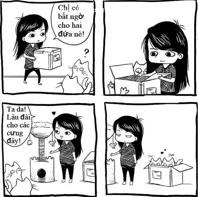 3. Lãng phí tiền vô ích: Chắc hẳn không ít người nuôi mèo từng trải qua cảm giác tiếc tiền khi mua đồ chơi cho mèo mà chúng chẳng thèm đoái hoài. Vì đơn giản, chúng chỉ thích chui vào hộp giấy và cào đống len của bạn thôi.